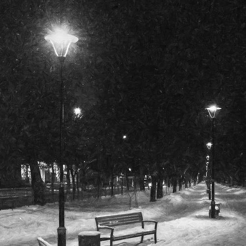 Photo #3888253