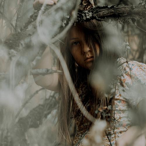 Photo #3888265