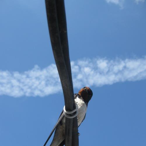 Photo #3888315