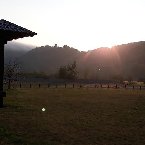 Photo #3888562