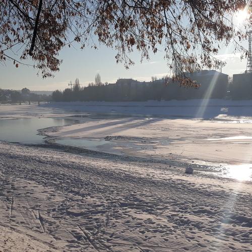 Photo #3888655