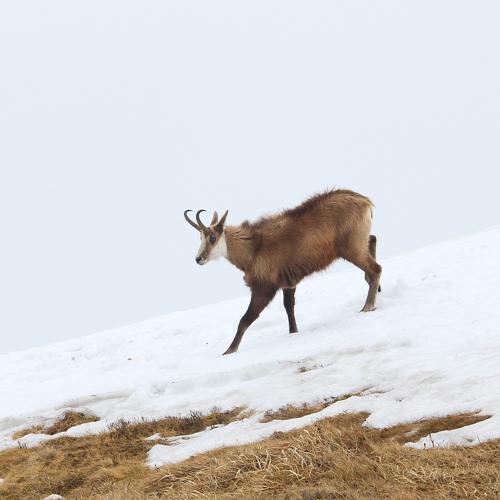 Photo #3888772
