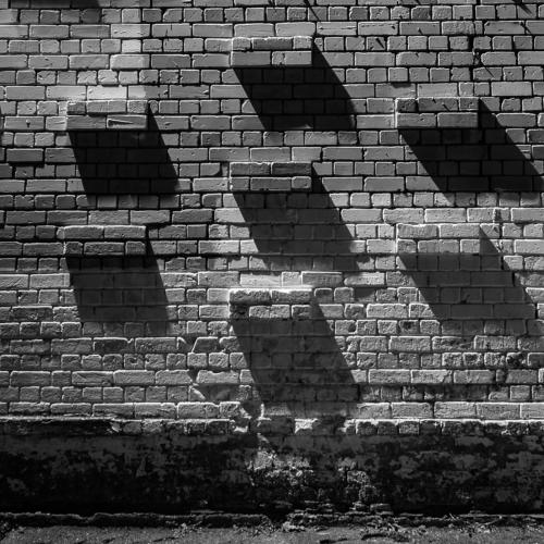 Photo #3888803