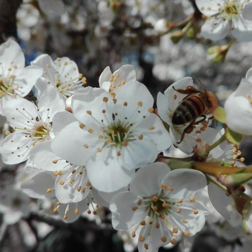 Photo #3889208