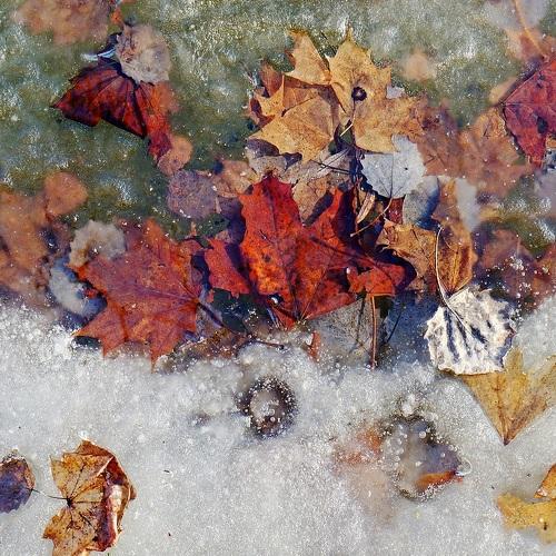 Photo #3889752