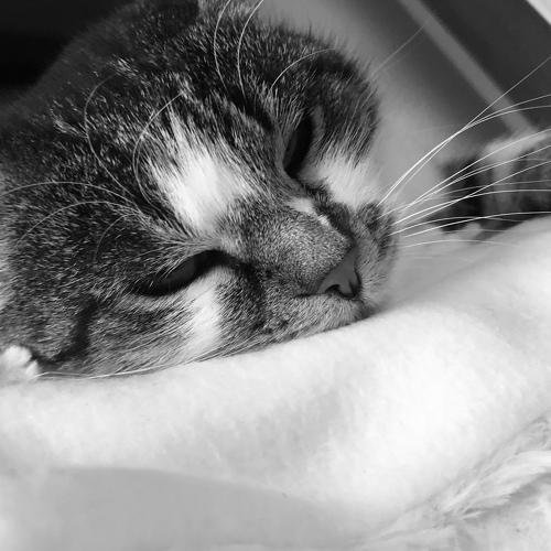 Photo #3890436