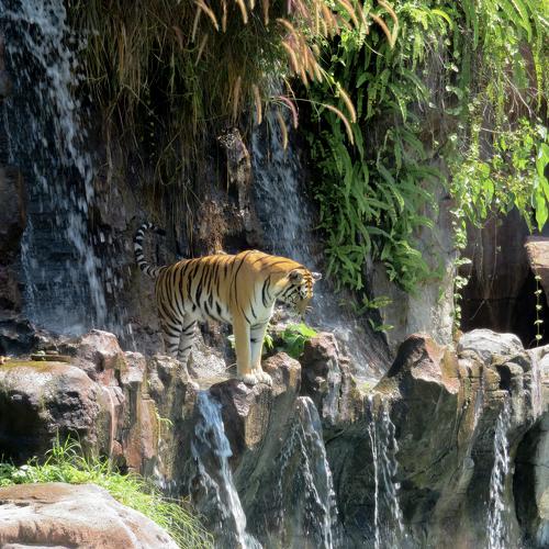Photo #3890443