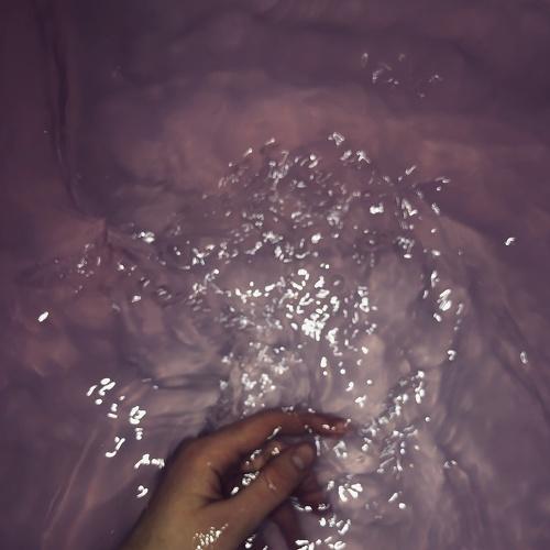 Photo #3890647