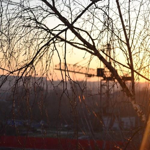 Photo #3891075