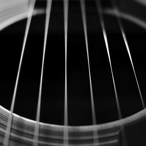Photo #3891142
