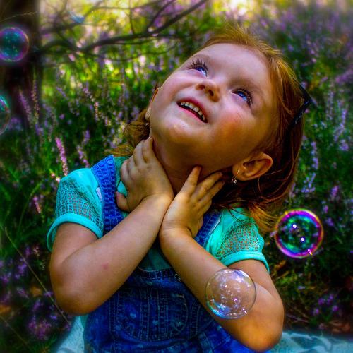 Photo #3891220