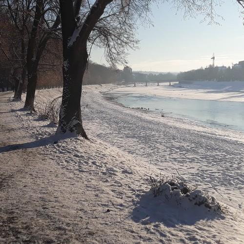 Photo #3892104