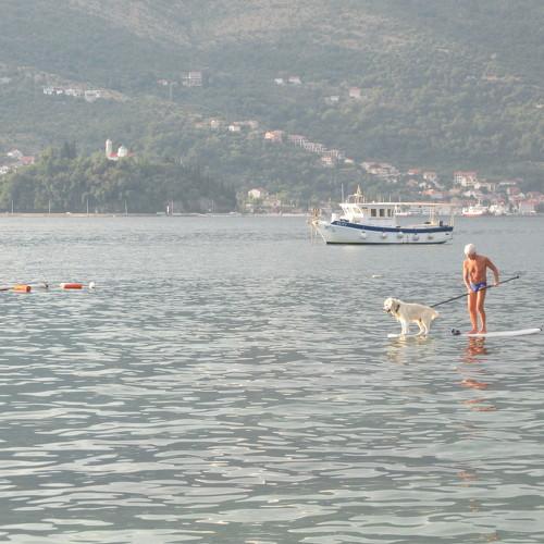 Photo #3892276