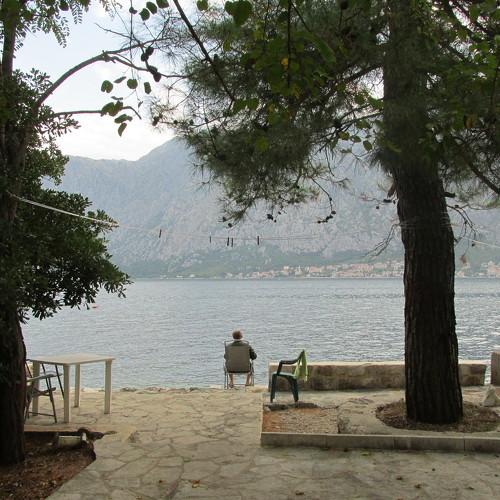 Photo #3892307