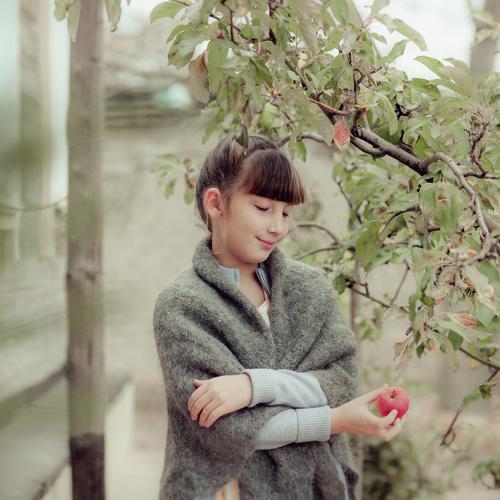 Photo #3892483