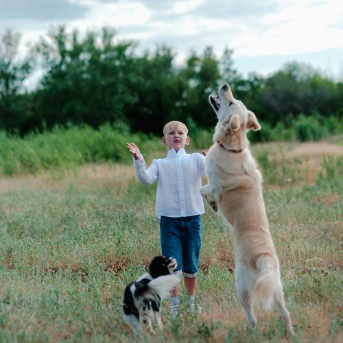 Photo #3892554