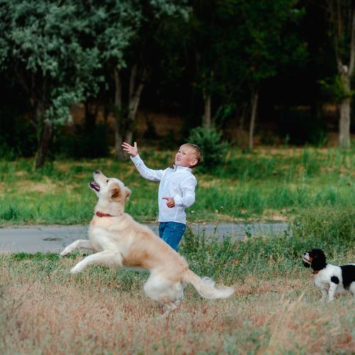 Photo #3892556