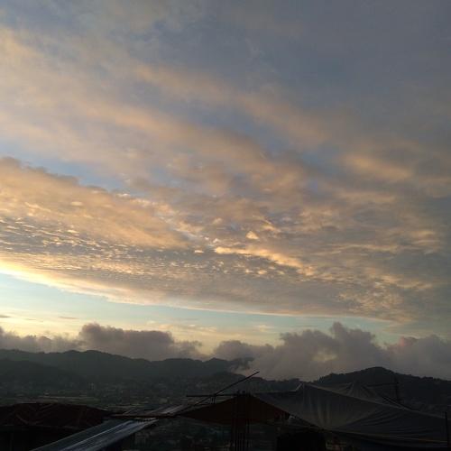 Photo #3892662