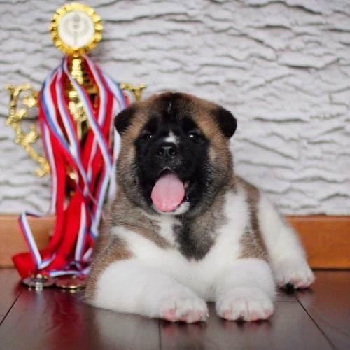 Photo #3893642