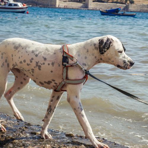 Photo #3893862