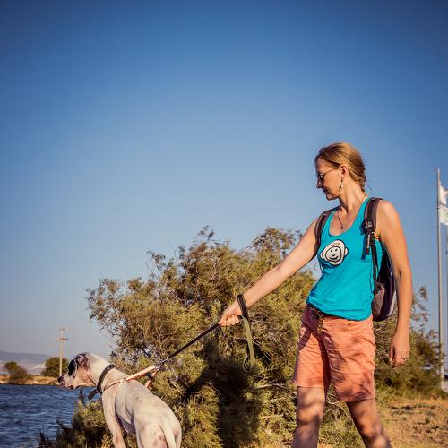 Photo #3893864