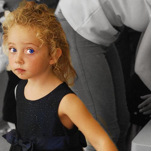 Photo #3894117