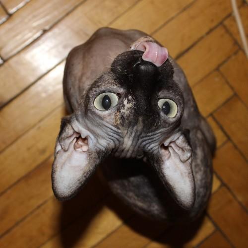 Photo #3894566
