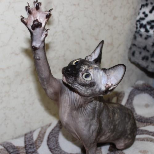 Photo #3894568