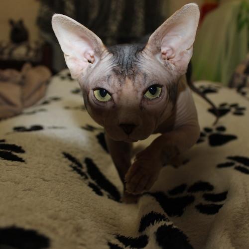 Photo #3894569