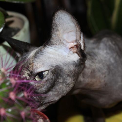 Photo #3894571