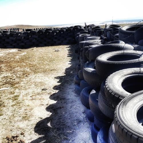 Photo #3894706