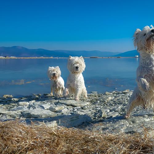 Photo #3895790