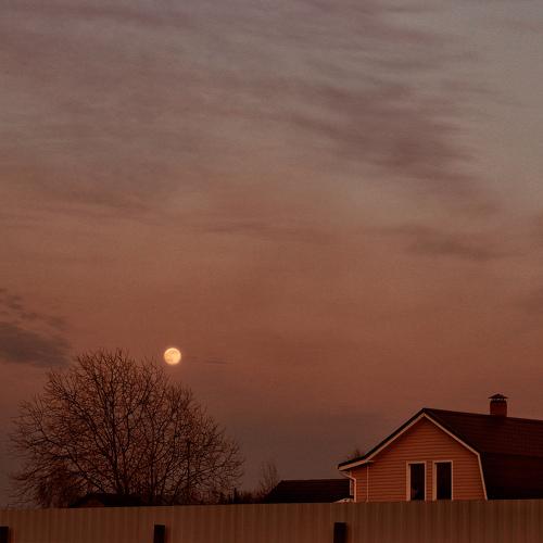 Photo #3895827