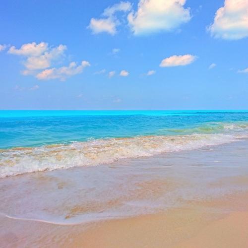 Photo #3896544