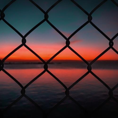 Photo #3896920