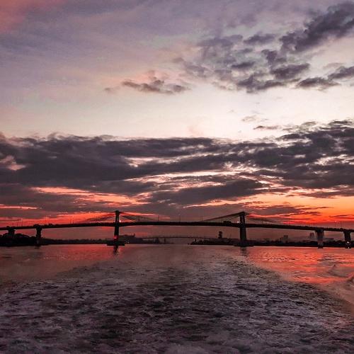 Photo #3896922