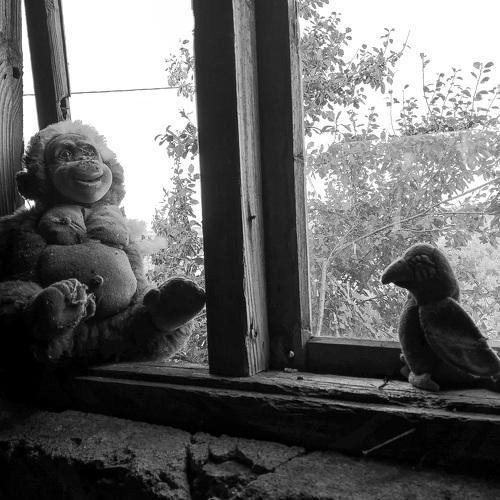 Photo #3897029