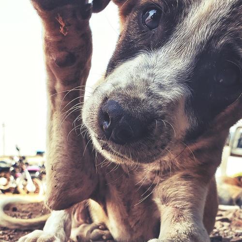 Photo #3898213