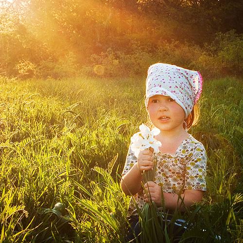 Photo #3898596