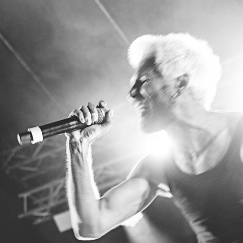 Photo #3898988