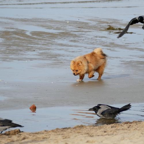 Photo #3899100