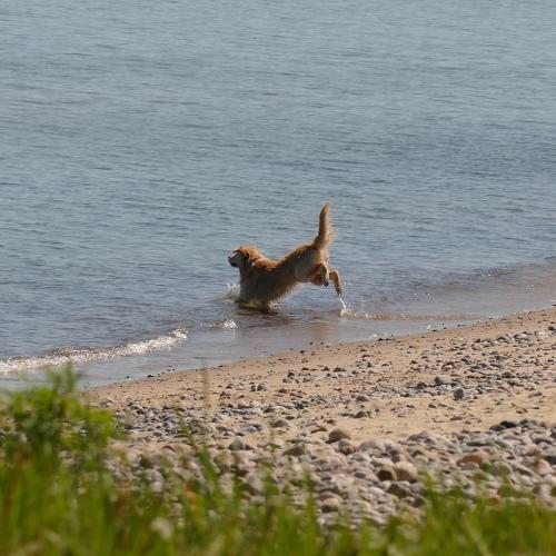 Photo #3899105
