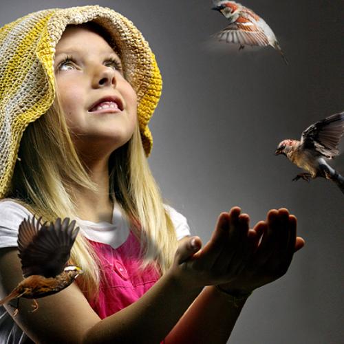 Photo #3899613