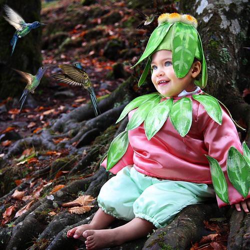 Photo #3899618