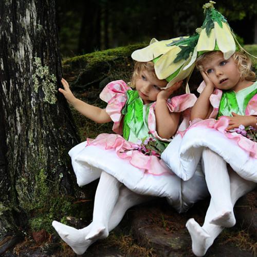 Photo #3899619