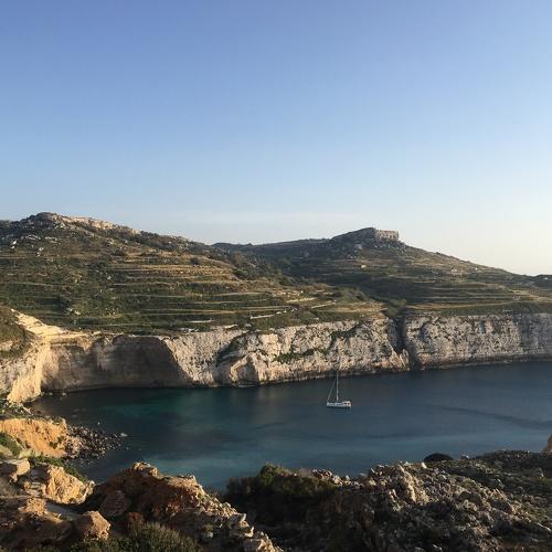 Photo #3899703