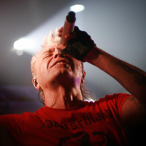 Photo #3900424