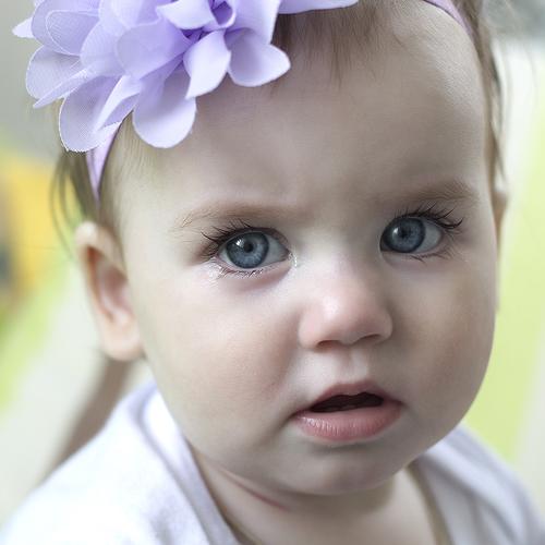 Photo #3900438