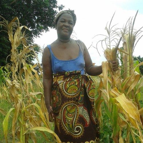 Sacrifice of Mozambican Women