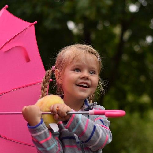 Photo #3900849